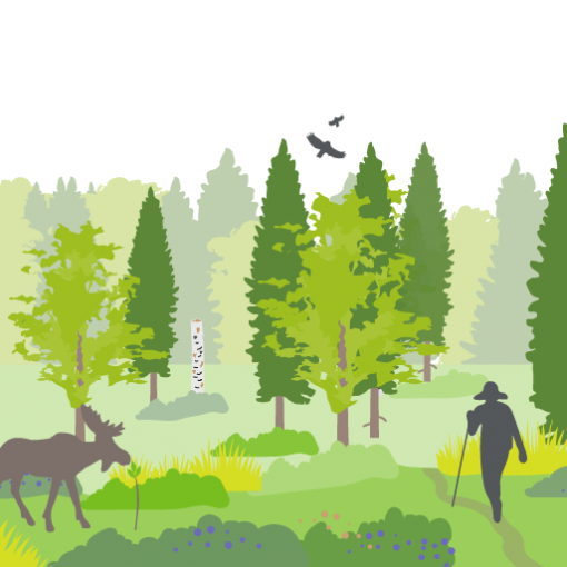 Infografiikan kuvituksellinen osa; sekametsä