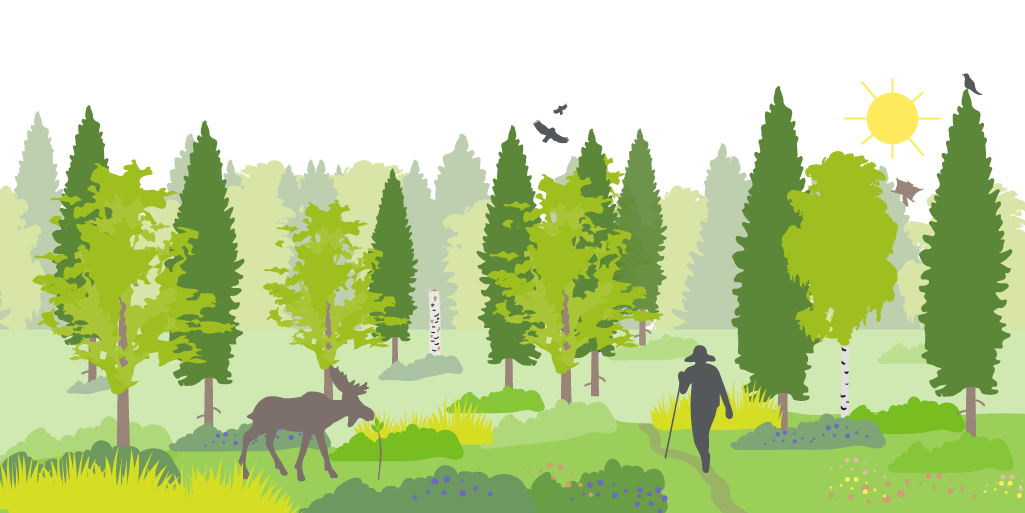 Infografiikan kuvituksellinen osa; sekametsä